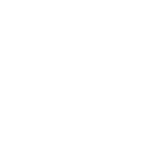 temperature Icon